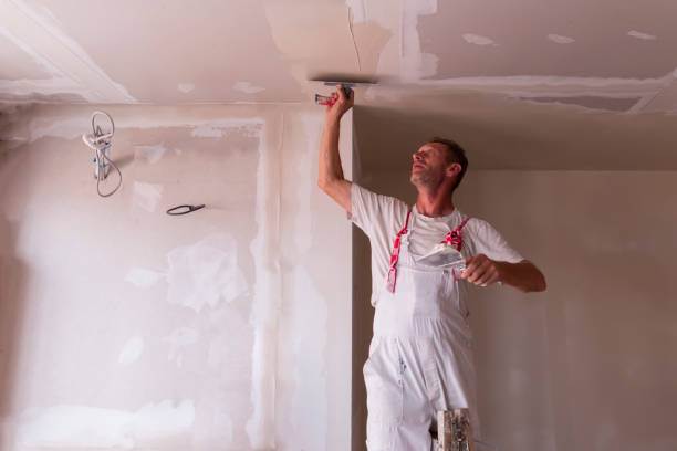 Best Drywall Removal and Disposal  in Cementon, PA